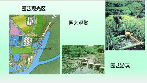總投資達4億元,橫跨三個社區 東莞將誕生一個巨無霸農業產業園