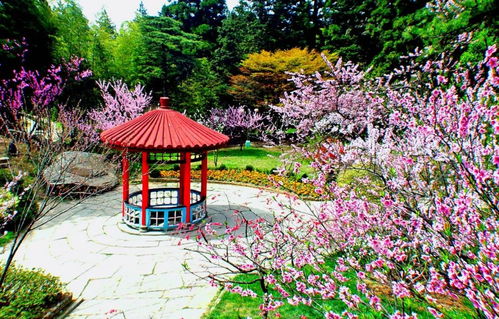 廬山室外景點恢復開放 南 北門或交通索道可進山 還有這些注意事項