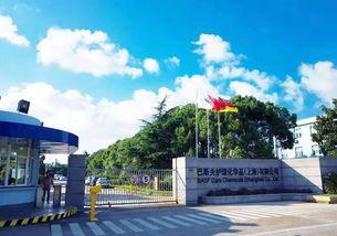 百億級產(chǎn)業(yè)項(xiàng)目落戶金山,背后的 門道