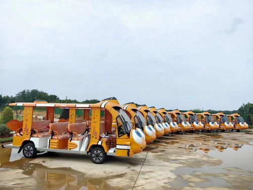旅游景區(qū)電動觀光車,絕佳的游覽觀光出行方式
