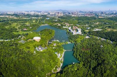 草地露營、國潮音樂節(jié)、少兒音樂匯 南京珍珠泉度假區(qū)假期精彩紛呈，盡顯卓越園區(qū)管理服務(wù)